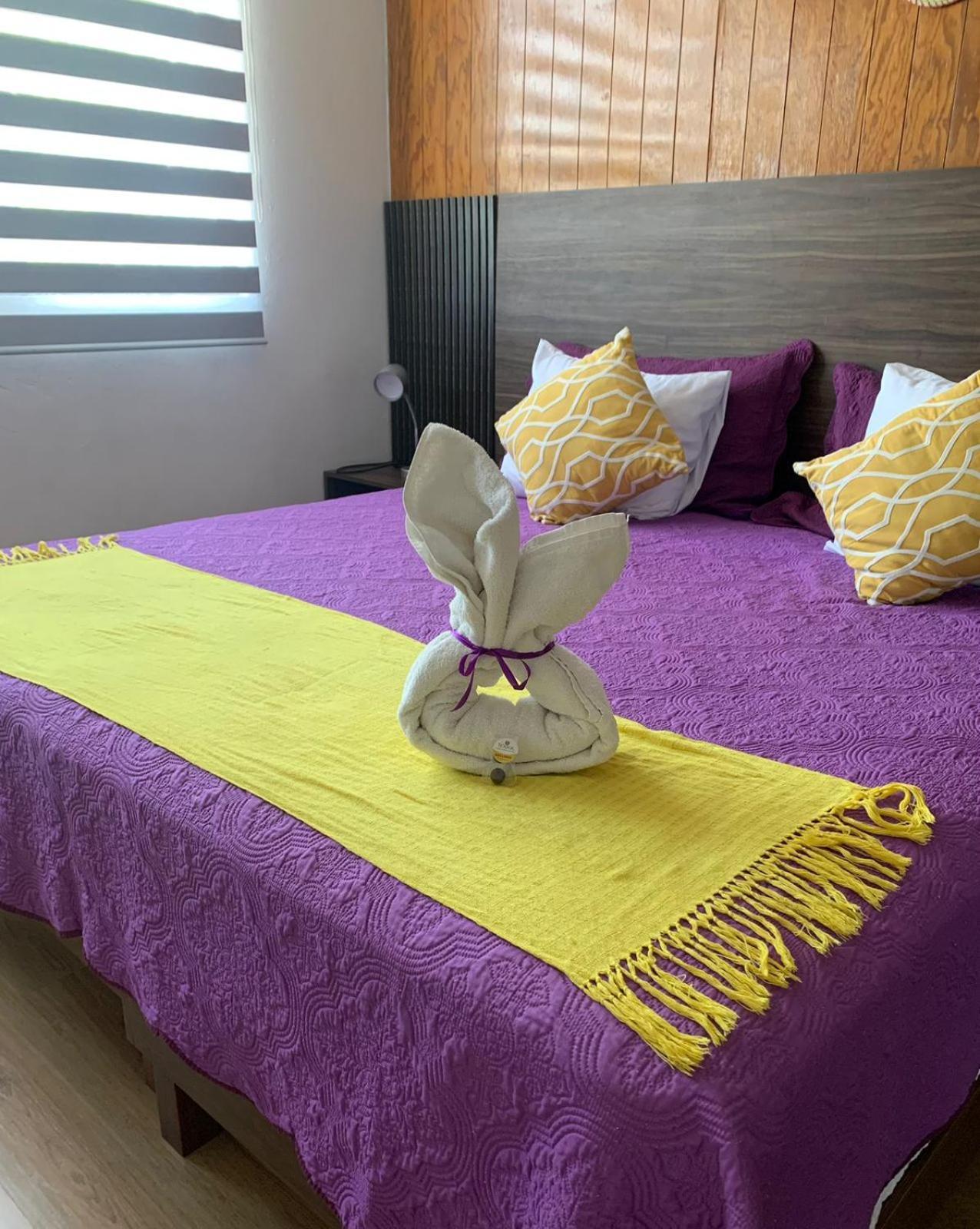 Pino Apartment Oaxaca Dış mekan fotoğraf